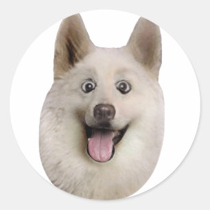 Sticker Rond Produits Happy_Dog_Mult_Products