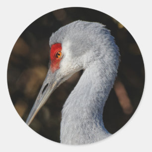 Sticker Rond Profil d'une grue de Sandhill