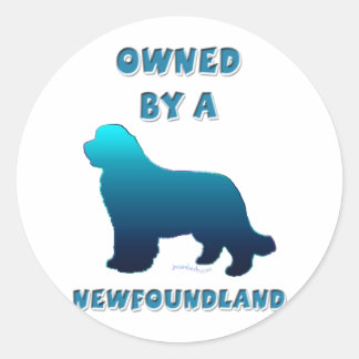 Sticker Rond Propriété d'un Terre-Neuve