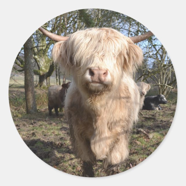 Sticker Rond Proud to be Scottish (Devant)