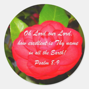 Sticker Rond Psaume 8:9