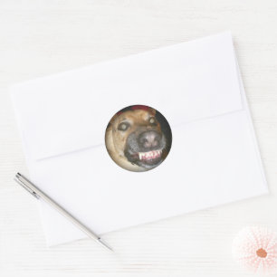 Sticker Rond Psycho berger allemand chien effrayant mal