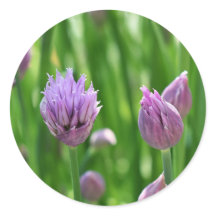 Puits de fleurs pourpres