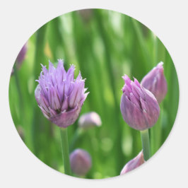 Sticker Rond Puits de fleurs pourpres