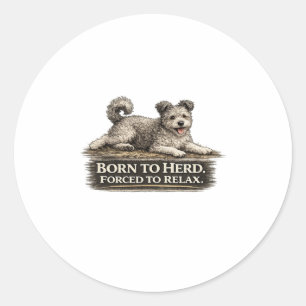 Sticker Rond Pumi Chien – Né pour Garder Forcé de Se Détendre