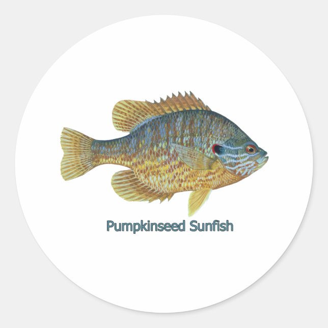 Sticker Rond Pumpkinseed Sunfish (titre) (Devant)