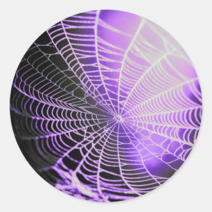 Sticker Rond Purple Black Déplaisant Spider Web