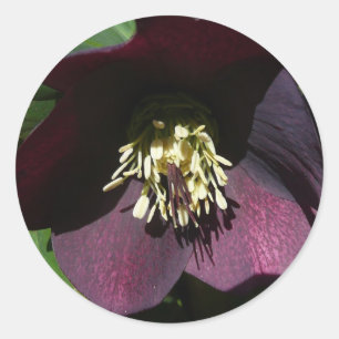Sticker Rond Purple Carême Rose Pâques