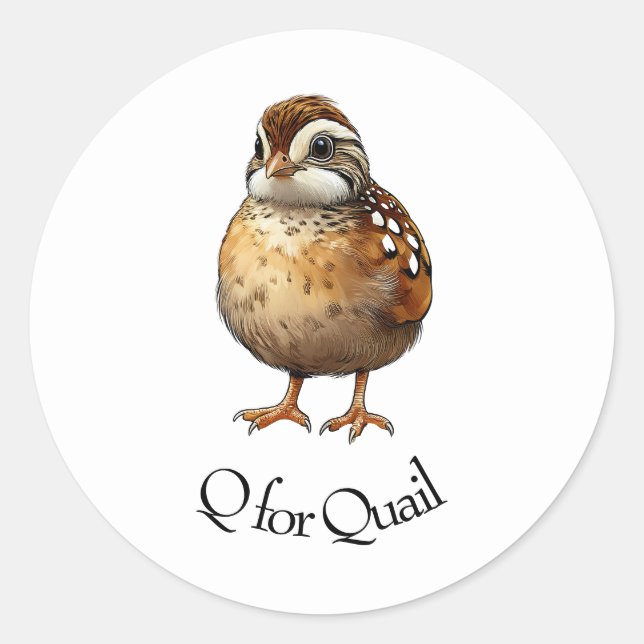 Sticker Rond Q pour Quail (Devant)