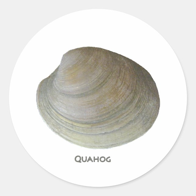 Sticker Rond Quahog Clam (Devant)