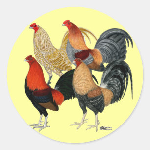Sticker Rond Quatre Coqs de combat