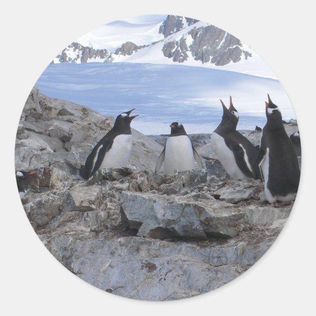 Sticker Rond Quatuor Barbershop (Devant)