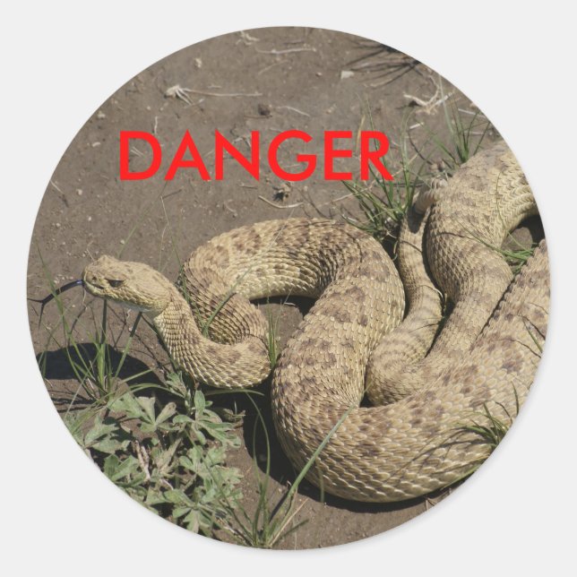 Sticker Rond R6 Prairie Rattlesnake (Devant)