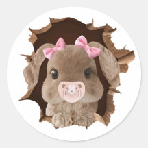 Rabbit with pacifier