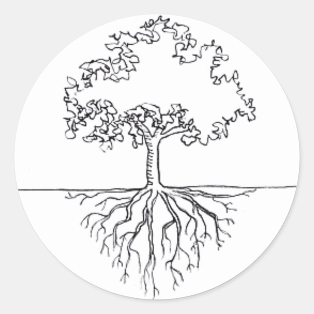Sticker Rond Racines de l'arbre (Devant)