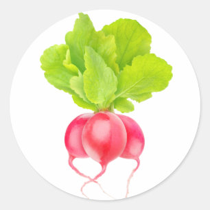Sticker Rond Radis rouges