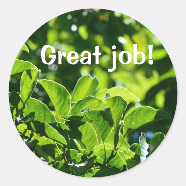 Sticker Rond Rafraîchir les feuilles verts grand professeur d'e (Devant)