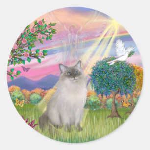 Sticker Rond Ragdoll Chat (Point Bleu) - Angel Cloud