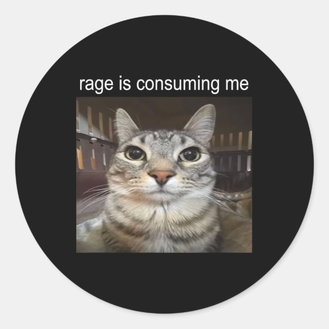 Sticker Rond Rage Me Consume Silly Staring Cat Meme (Devant)