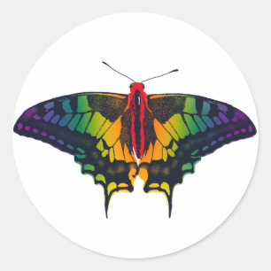 Sticker Rond Rainbow Pride Flag Swallowtail Butterfly