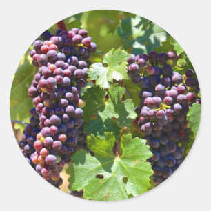 Sticker Rond Raisins