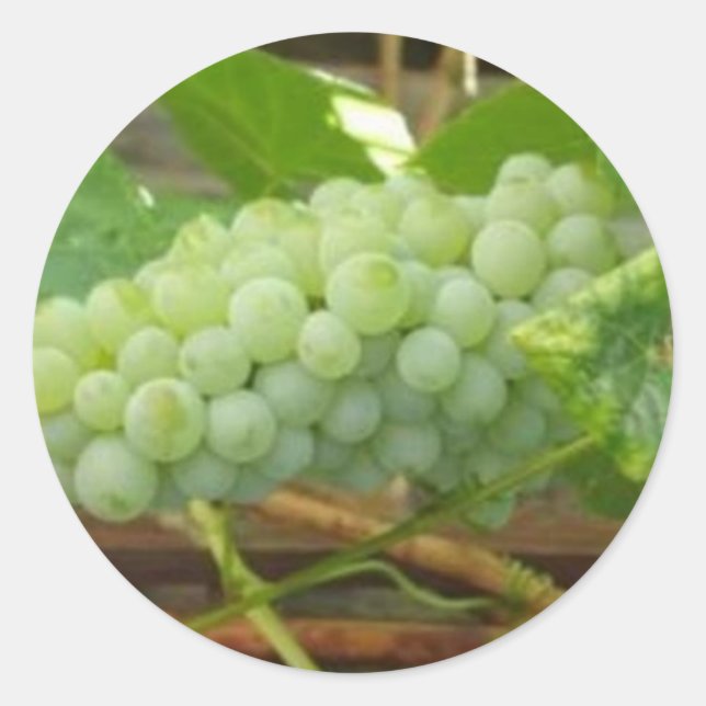Sticker Rond Raisins verts de Californie (Devant)