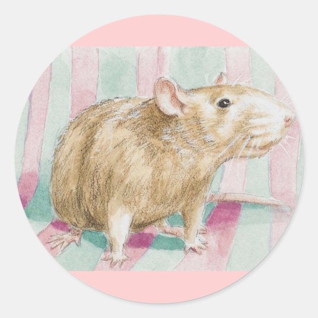 Sticker Rond rat (Devant)