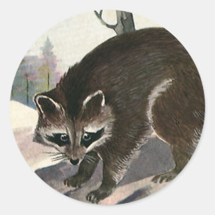 Sticker Rond Raton laveur vintage, créatures animales sauvages