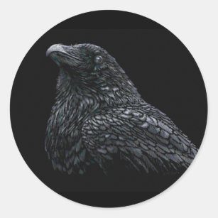 Sticker Rond Raven
