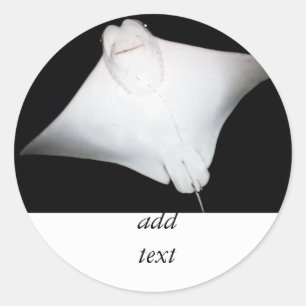 Sticker Rond Rayon souriant