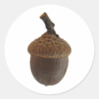 Sticker Rond Recettes de cuisine pour collations de noisettes d
