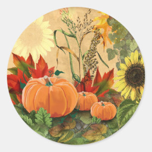 Sticker Rond Récolte d'automne de citrouilles