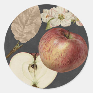 Sticker Rond Récolte de minuit II