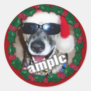 Sticker Rond Red Holly Frame pour votre photo de Noël !