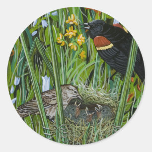 Sticker Rond Red Wing Blackbird