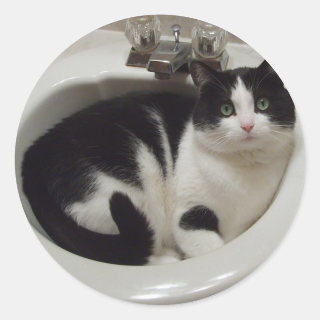 Sticker Rond régal Amoureux des chats (Devant)