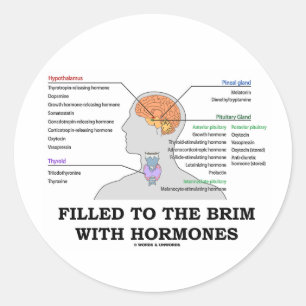 Sticker Rond Rempli Au Brim Avec Hormones (Anatomie)