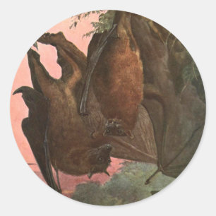 Sticker Rond Renards volants chauves-souris par Austen, Animaux