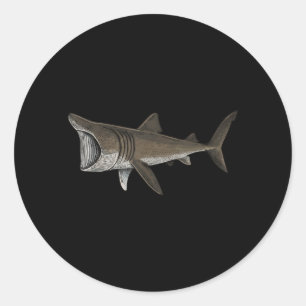 Sticker Rond Requin pèlerin