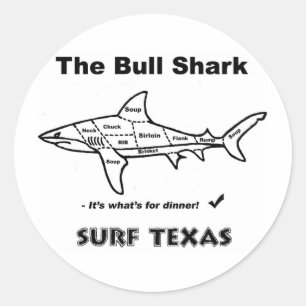 Sticker Rond requin taureau