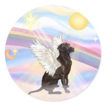 Retriever du Labrador