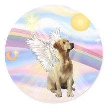 Retriever du Labrador