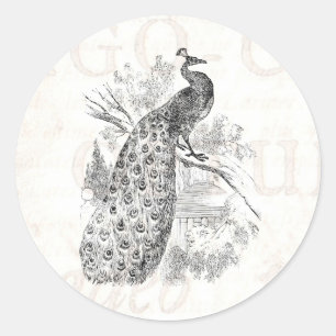 Sticker Rond Rétro modèle d'illustration de paon de 1800s