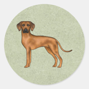 Sticker Rond Ridback Rhodésien Chien Lion Africain Mignon Vert