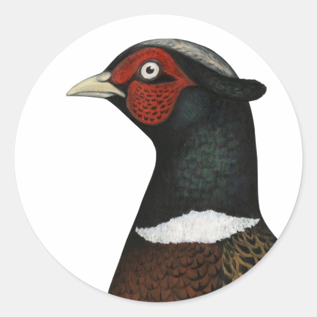 Sticker Rond Ringneck Pheasant Head (Devant)