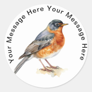 Sticker Rond Robin américain