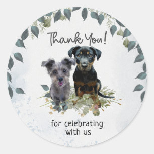 Sticker Rond Rockie et Lyla Merci