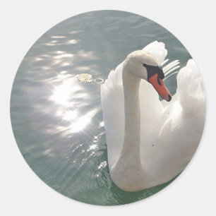 Sticker Rond Romantischer weisser Schwan