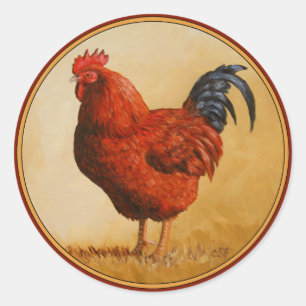 Sticker Rond Rooster chicken de Rhode Island