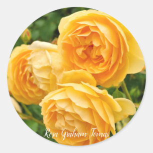 Sticker Rond Rosa Graham Tomas [Round Seal] [ン ド  ル]